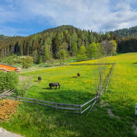 Huberhof 1 By Alpenidyll Apartments Schladming Eksteriør bilde
