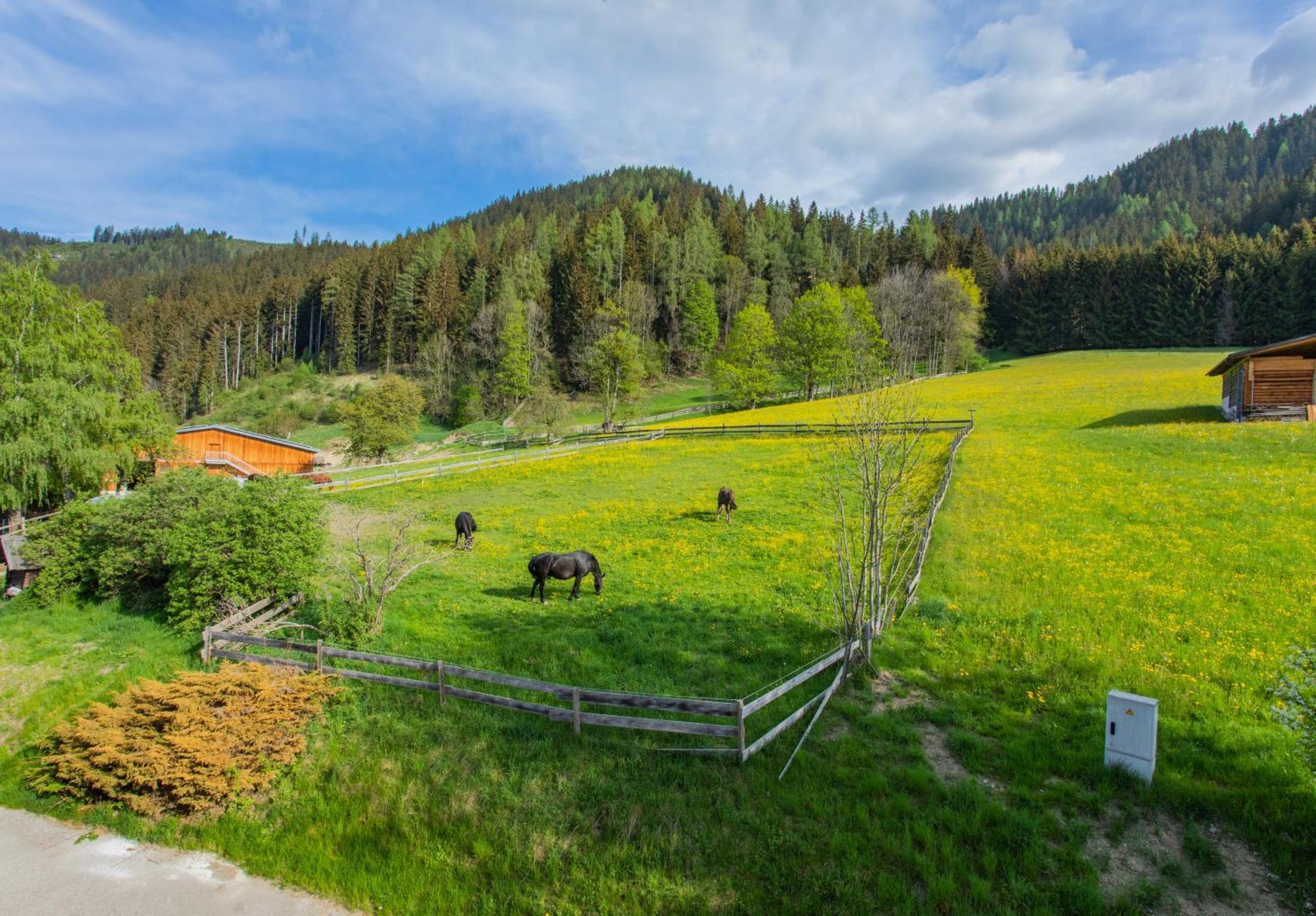 Huberhof 1 By Alpenidyll Apartments Schladming Eksteriør bilde